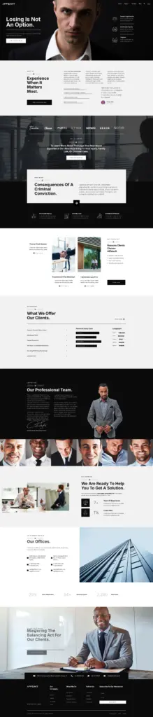 专业企业服务官网 - 商务服务 Elementor外贸独立站模板完整页面预览
